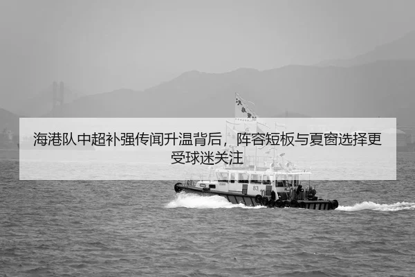 海港队中超补强传闻升温背后，阵容短板与夏窗选择更受球迷关注
